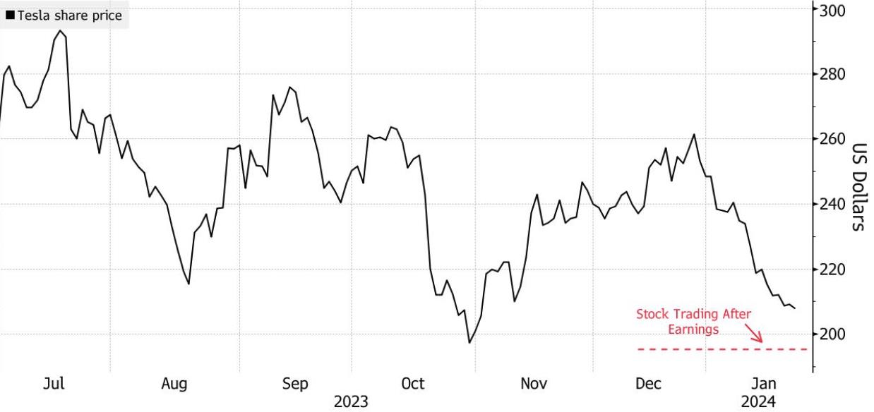 Tesla's share price continued to decline in 2024.