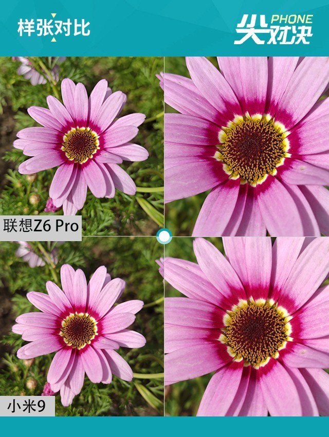 Lenovo Z6 Pro vs Xiaomi 9 Fairy Fighting Peak Match